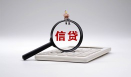 深圳31个人抵押贷款-深圳31哪里可以民间借贷-深圳31快速小额贷款